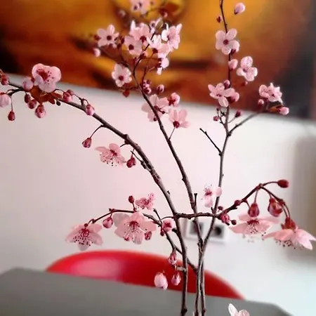 Zen - On Metro, Ultra Fast Wi-fi Apartment